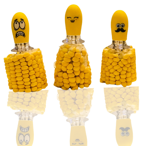 THE NUCLEAR FAMILY (PACK OF 1) | PRICE : $13.99 |